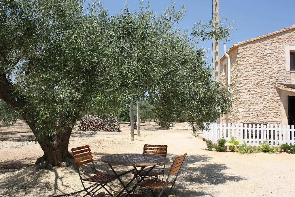 Cau D'Amor L'Ampolla